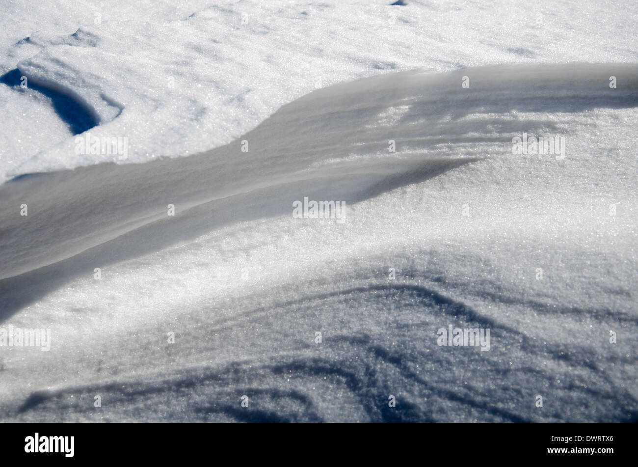 Macrophotographie de neige Banque D'Images