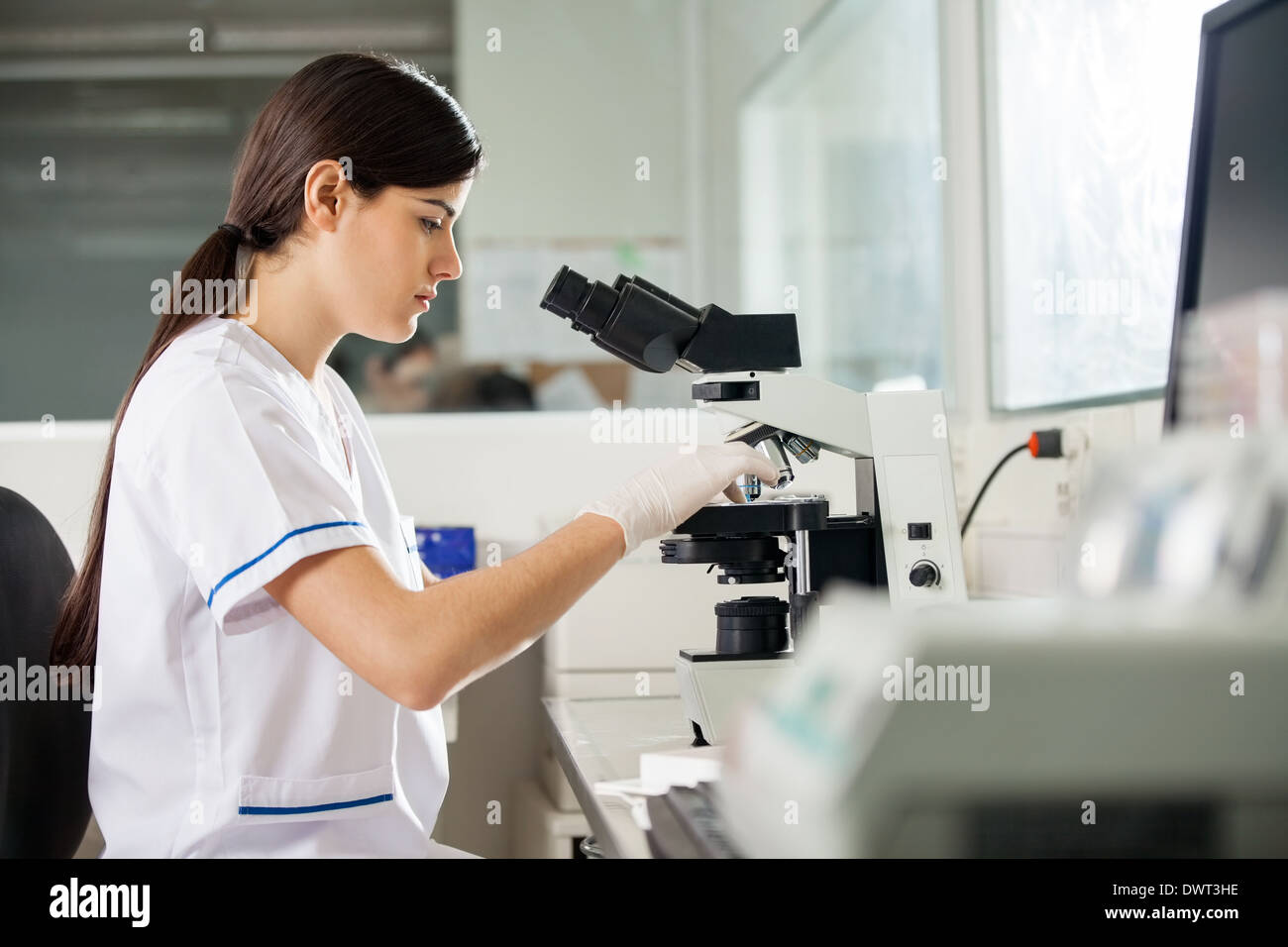 Female scientist using microscope in lab Banque D'Images