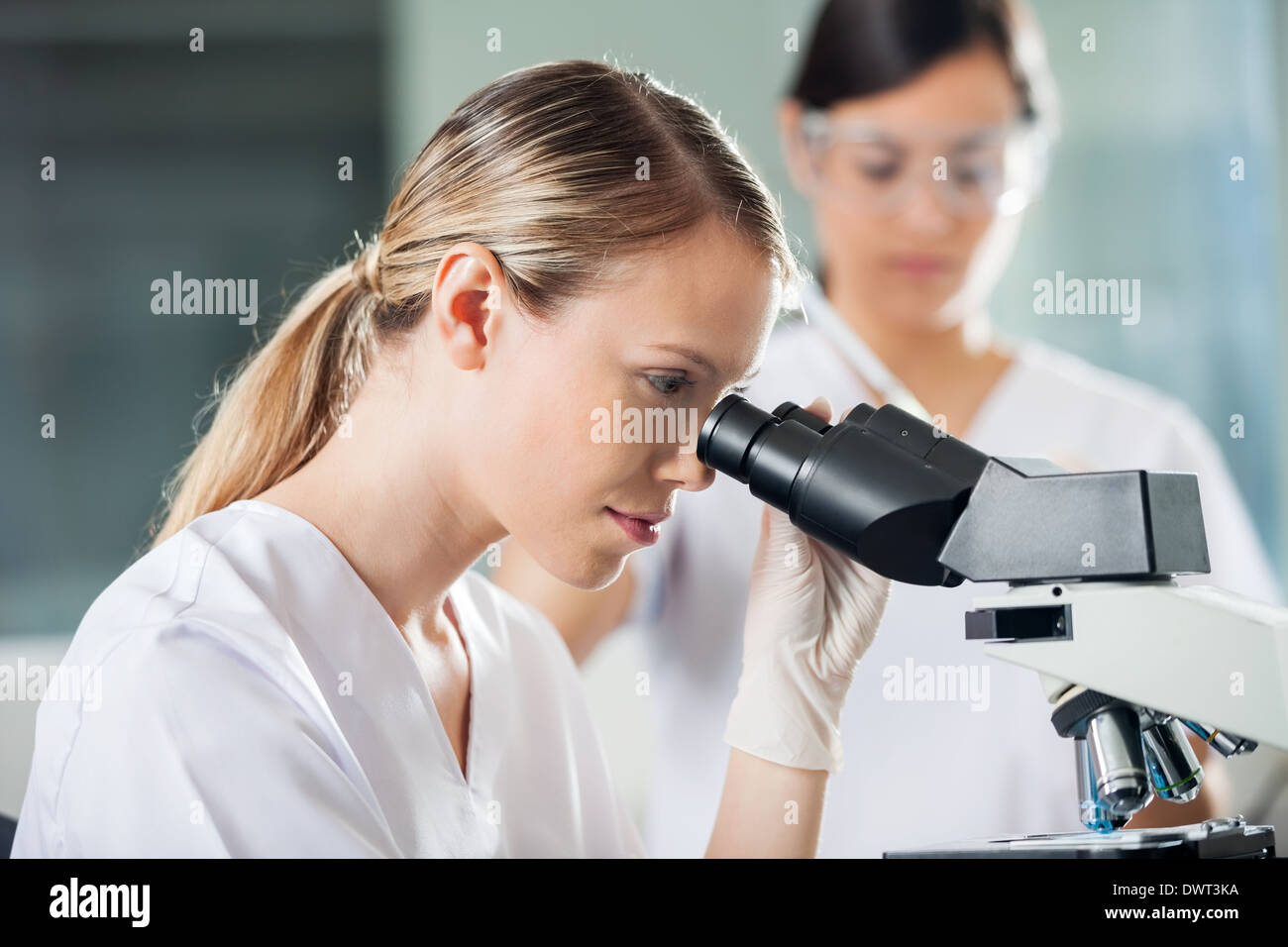 Technicien à la microscope en femelle Banque D'Images