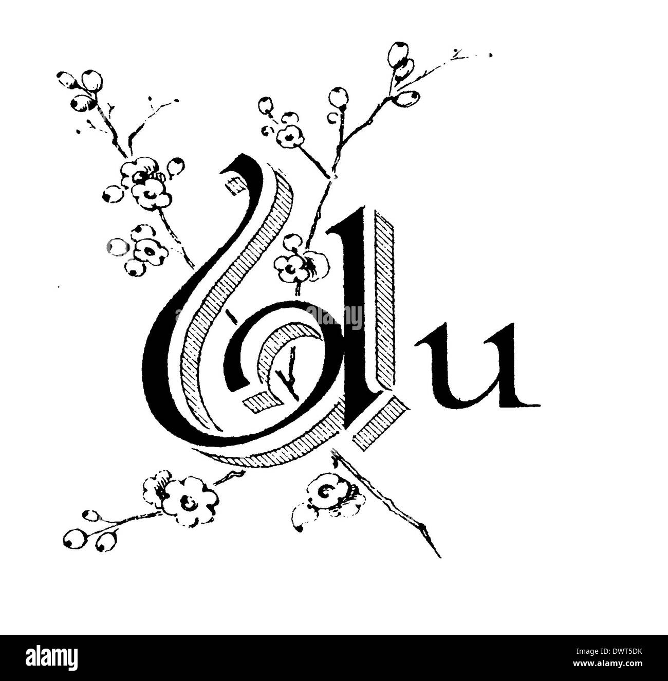 Caractère alphabétique, lettre U Banque D'Images