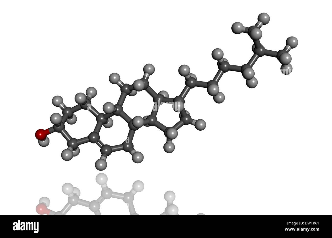 Molécule de cholestérol Banque D'Images