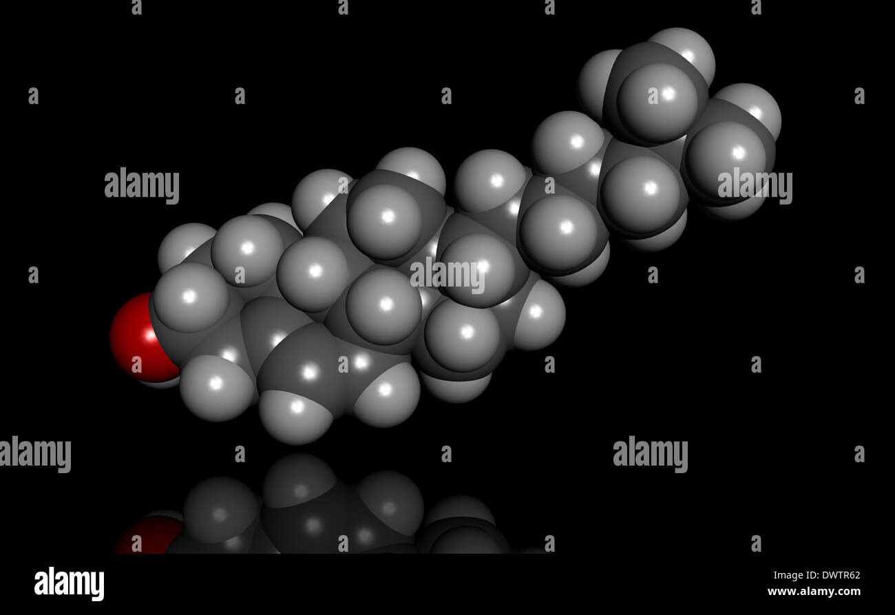 Molécule de cholestérol Banque D'Images