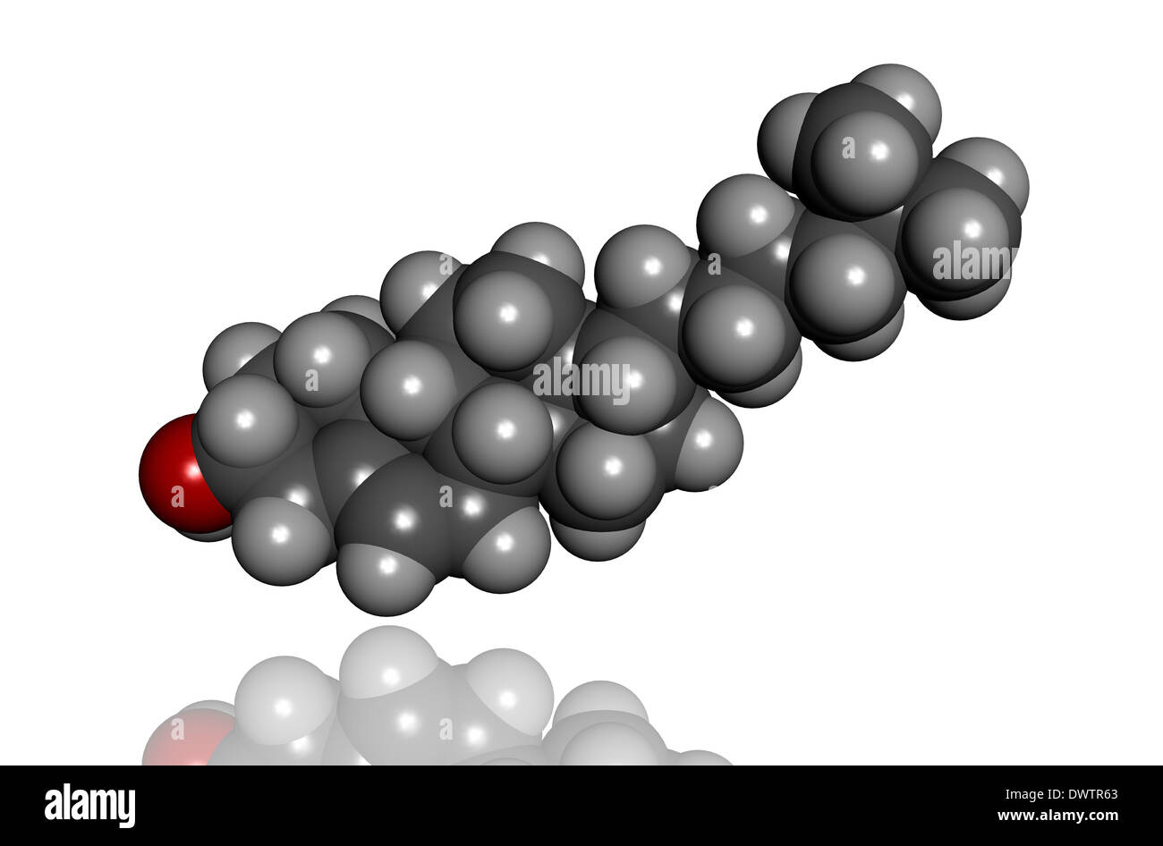 Molécule de cholestérol Banque D'Images