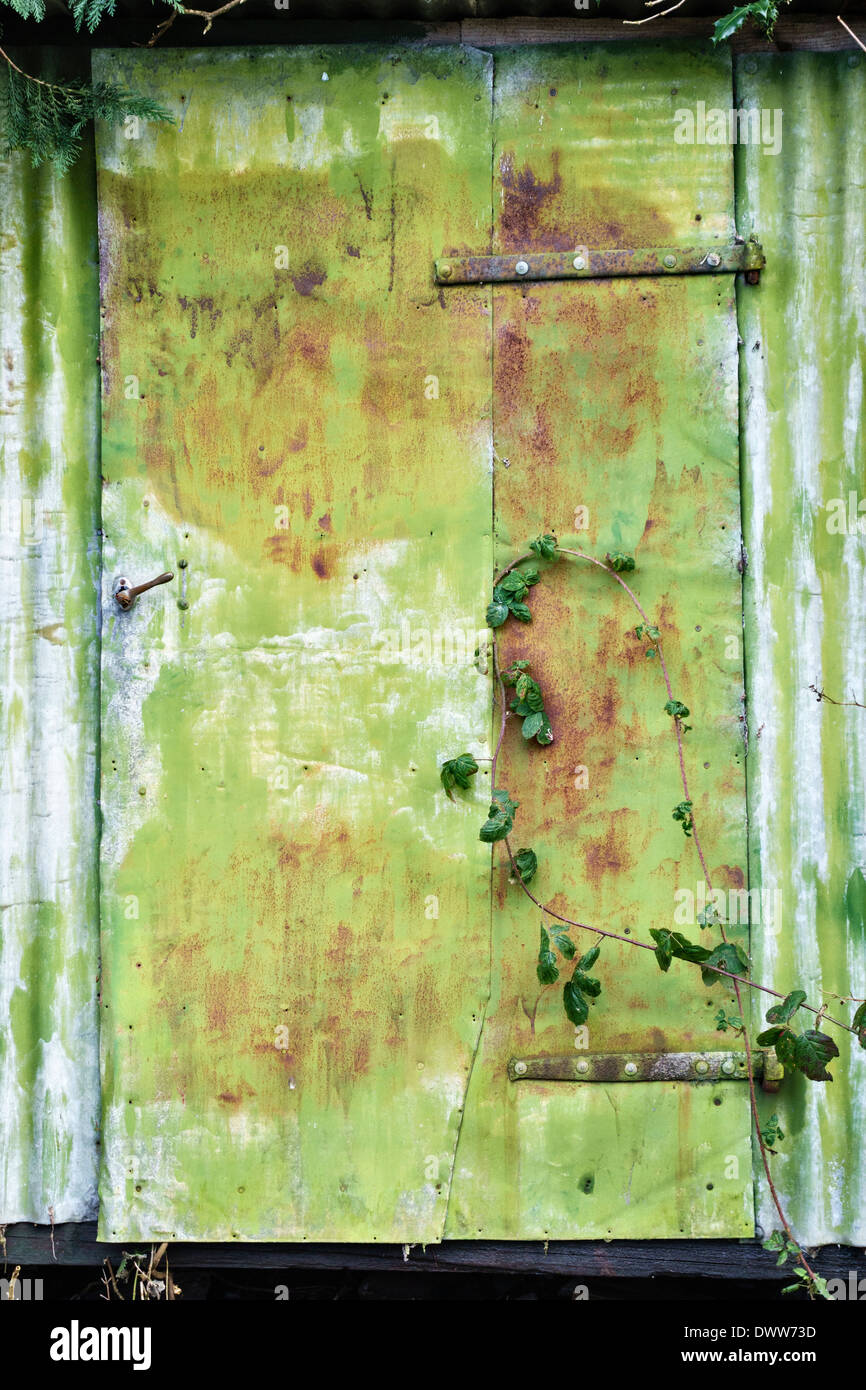 Une ancienne porte en fer ondulé avec peinture verte en fondu, Royaume-Uni Banque D'Images