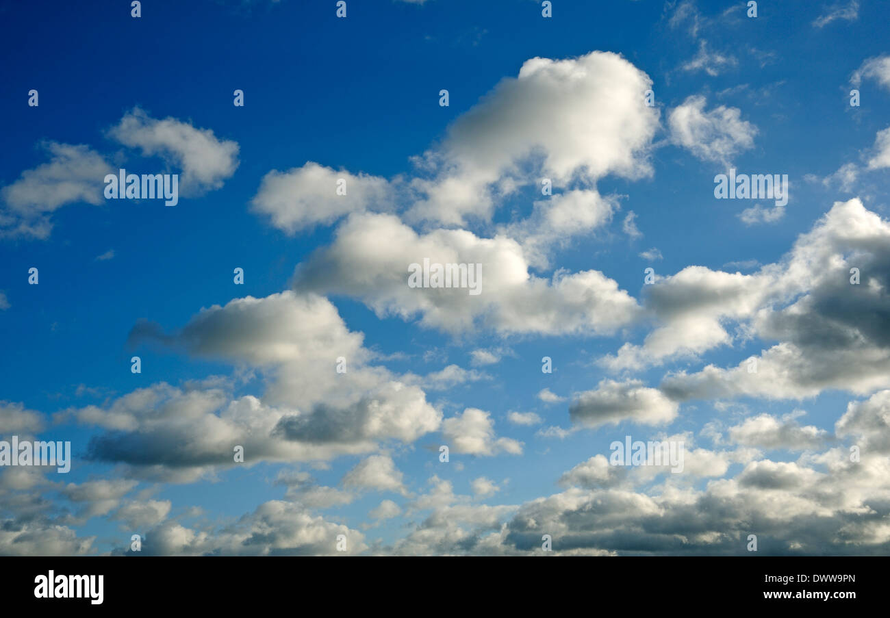 Ciel bleu nuages blancs Banque D'Images