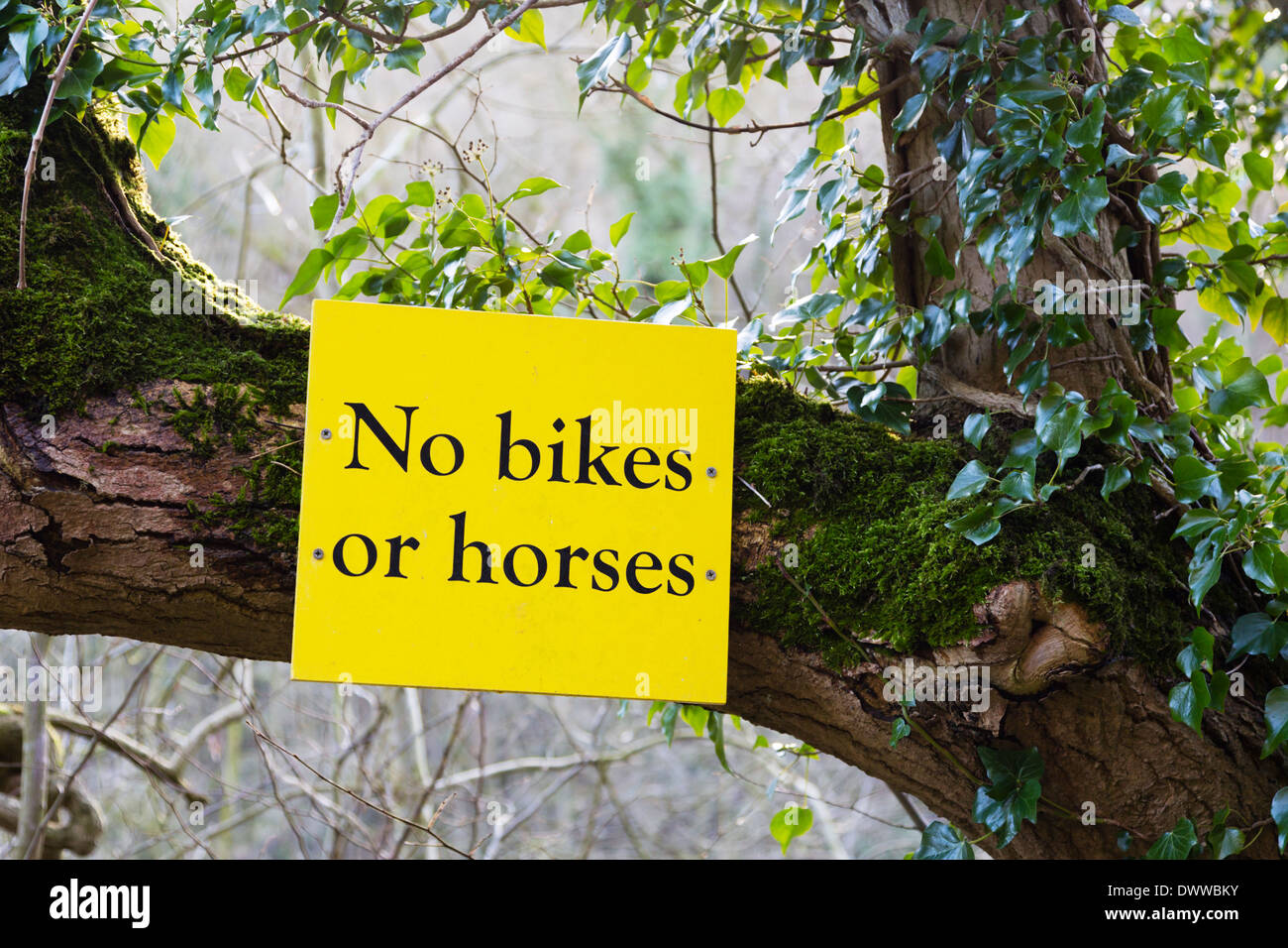 'Pas de vélos ou chevaux' signe sur l'Monsal Trail près de Millers Dale. Banque D'Images