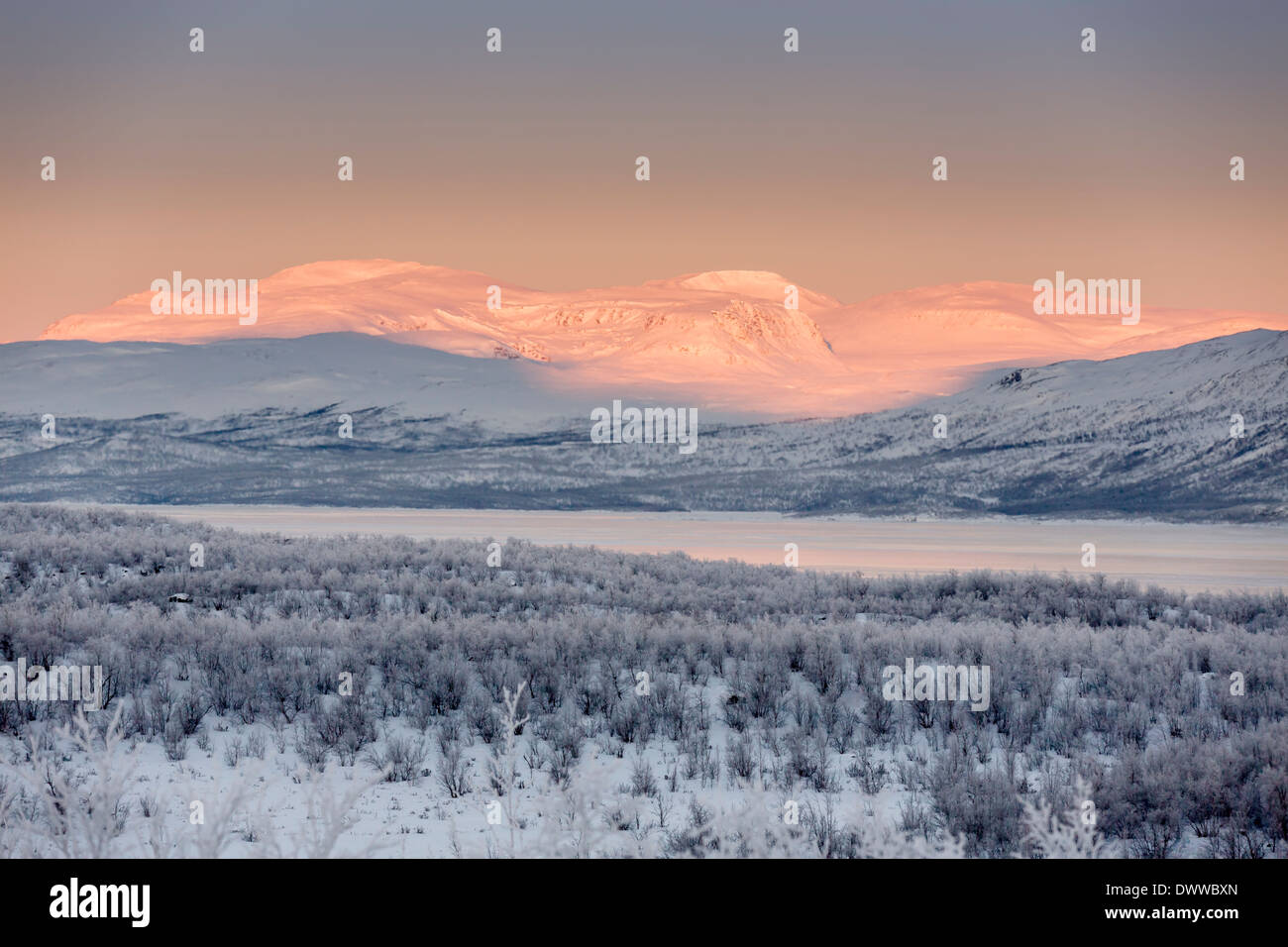 Paysage gelé, froid, Laponie, Suède Banque D'Images