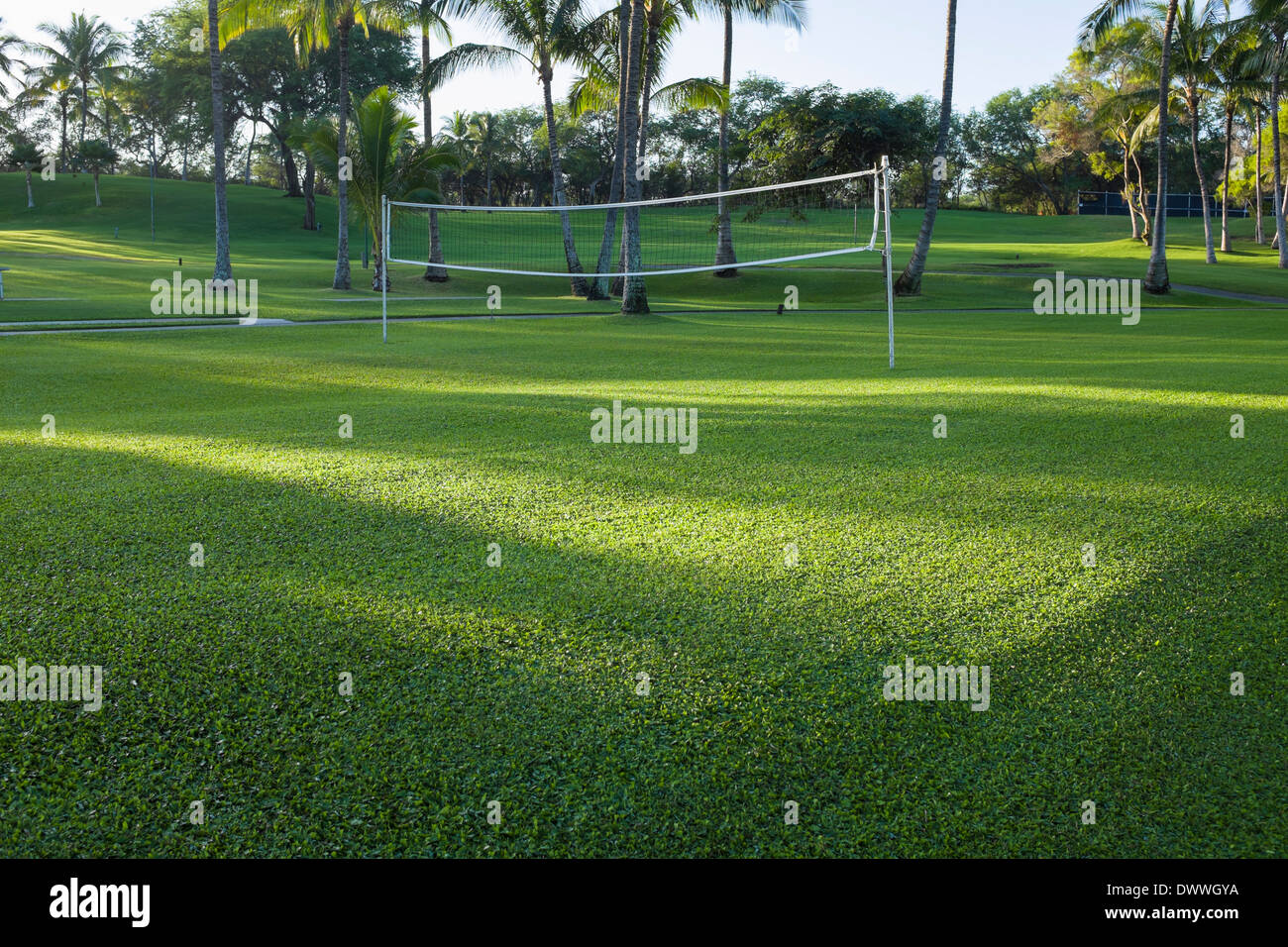 Volley-ball sur l'île de Maui, Hawaii en lumière du matin. Banque D'Images