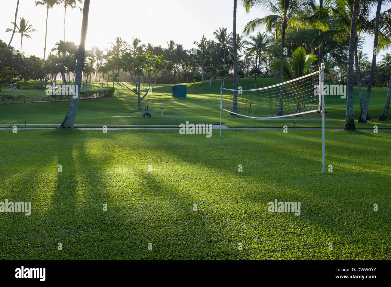 Volley-ball sur l'île de Maui, Hawaii en lumière du matin. Banque D'Images