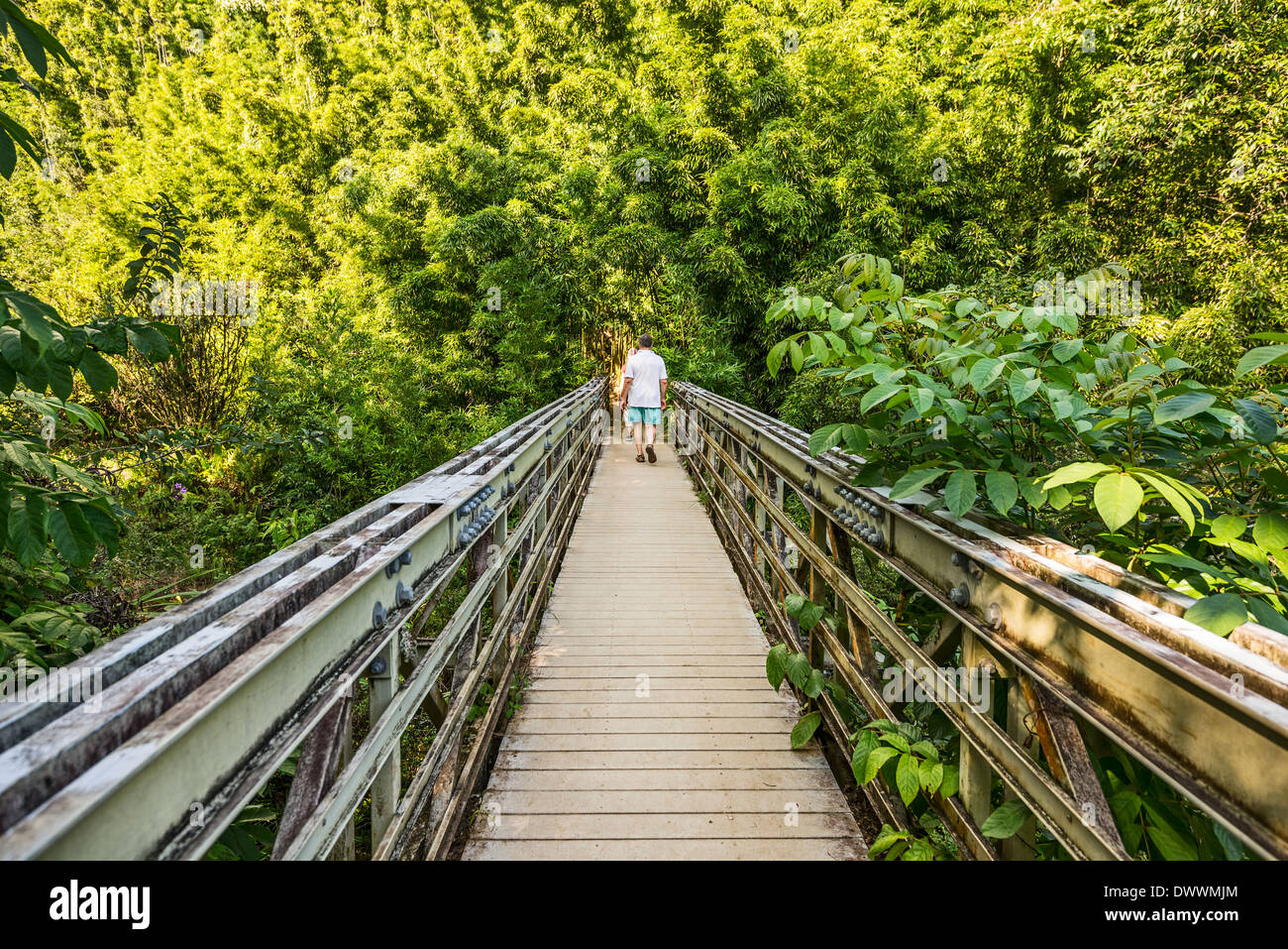 La randonnée sur le sentier Pipiwai à Maui. Banque D'Images