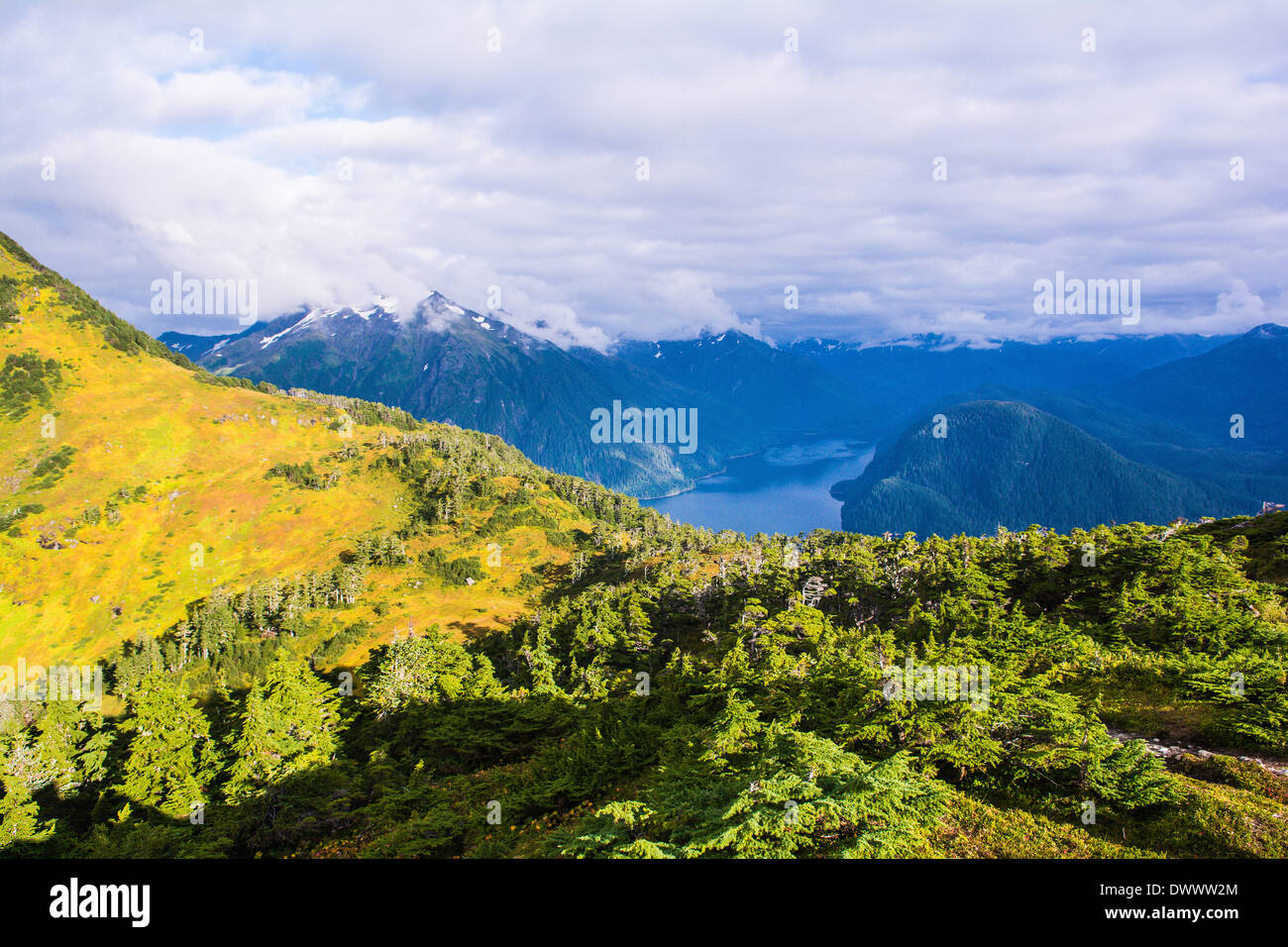 Vue depuis le sommet du Mt. Verstovia, Sitka, Alaska, USA Banque D'Images
