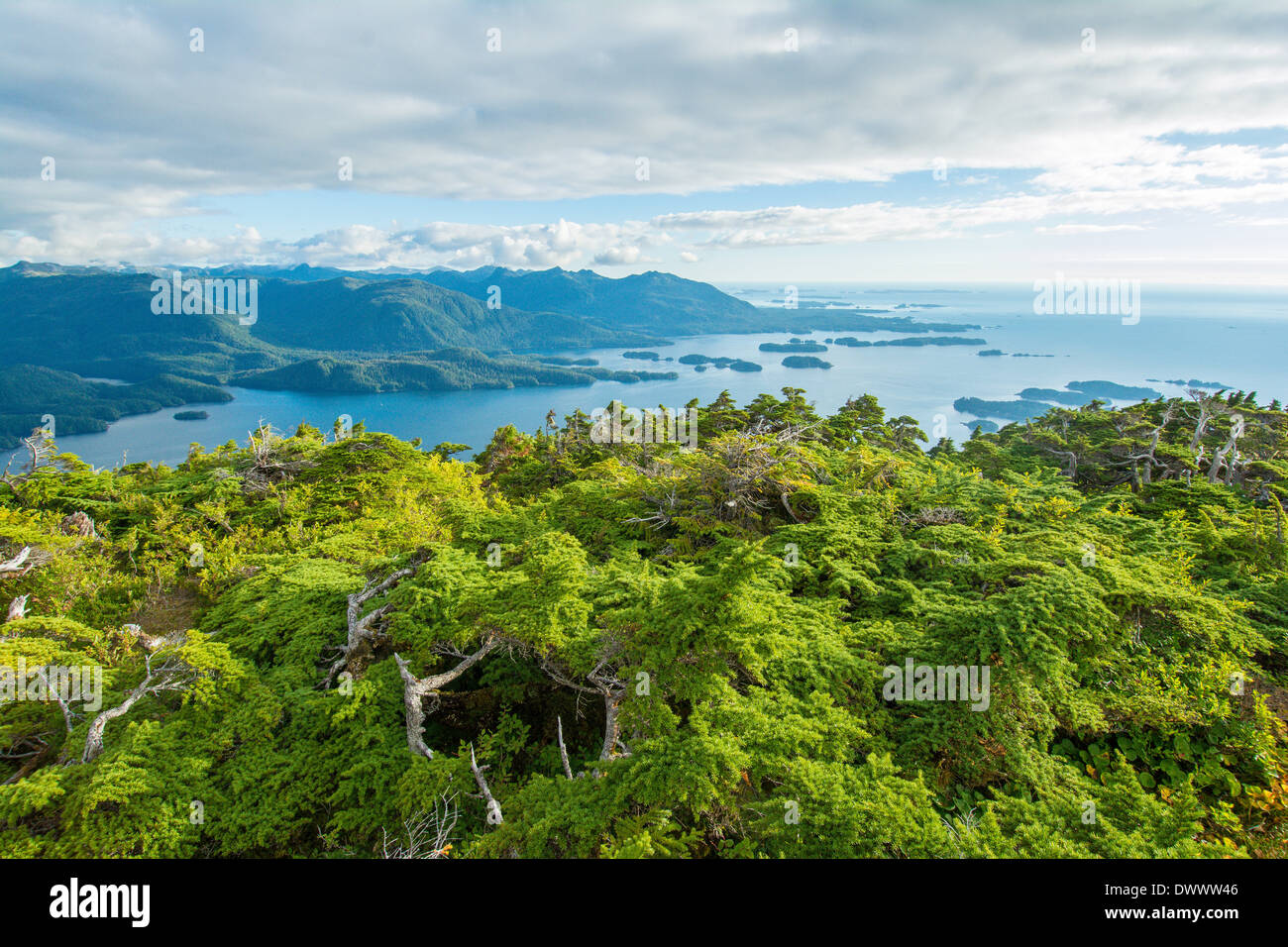 Vue sur la baie Sitka de sommet du mont. Verstovia, Sitka, Alaska, USA Banque D'Images
