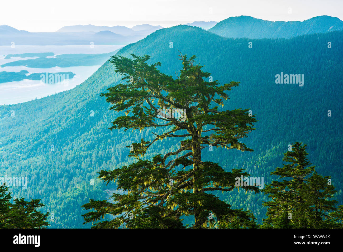 Vue depuis le sommet du Mt. Verstovia, Sitka, Alaska, USA Banque D'Images