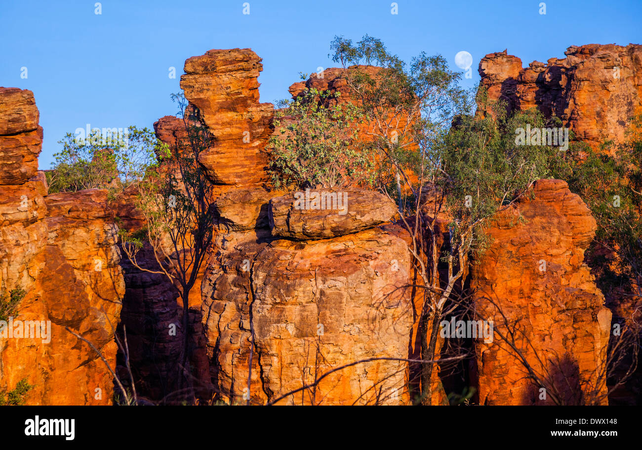 L'Australie, Territoire du Nord, le Parc National est une ancienne commune, le sud de la cité perdue, piliers de grès émaillés slica, de tours et de pinacles Banque D'Images