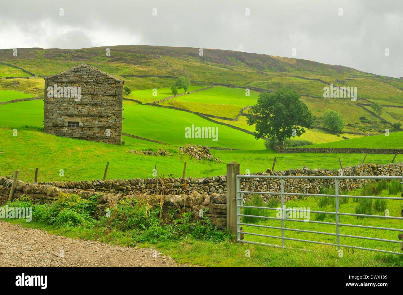 Scène de pays agricoles Dales Banque D'Images