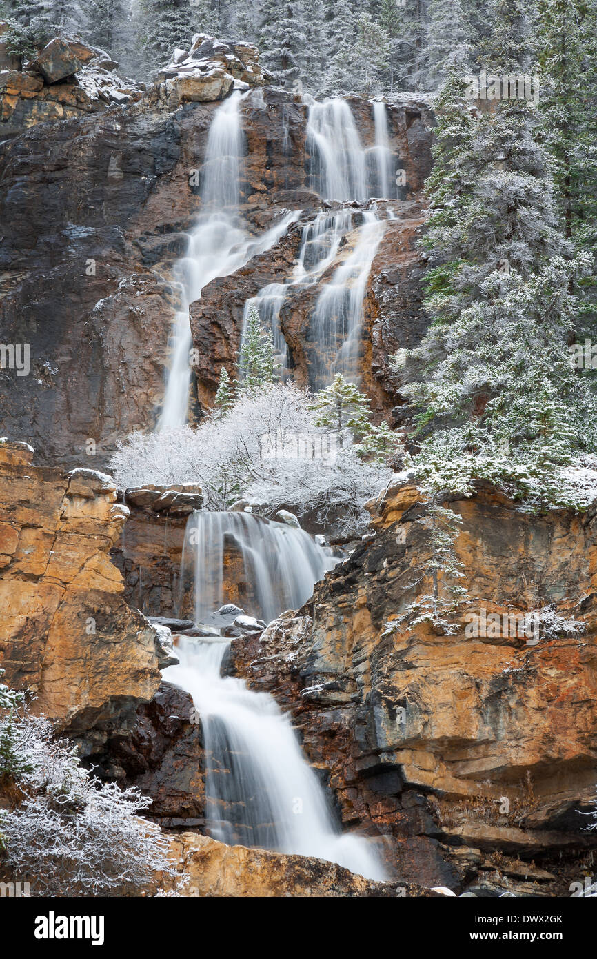 Vue d'hiver de Chutes Tangle Creek dans le parc national Jasper, Alberta, Canada Banque D'Images