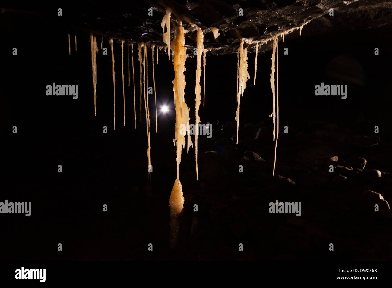 Le Candlewax Colonnes de Dan-yr-Ogof Caves, Brecon Beacons, South Wales, UK Banque D'Images