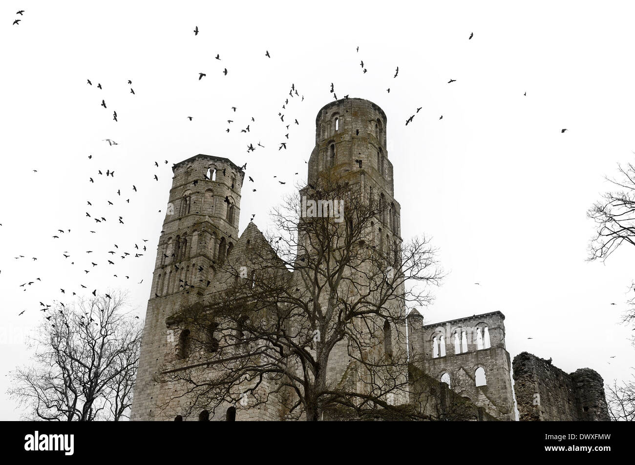 Abbaye de Jumièges ruines, Seine Maritime, France Banque D'Images