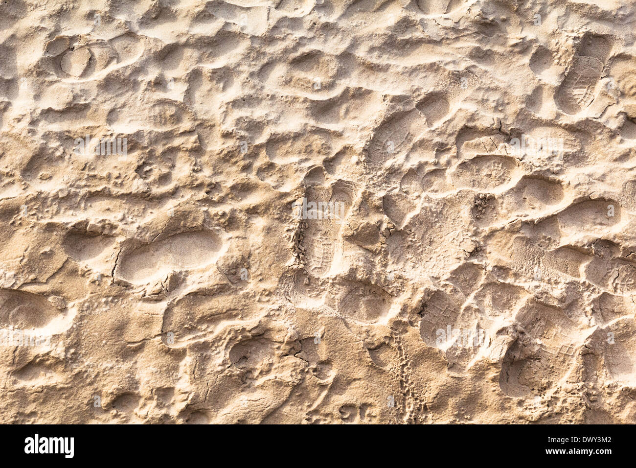 De nombreuses empreintes de pas dans le sable sur la plage Banque D'Images