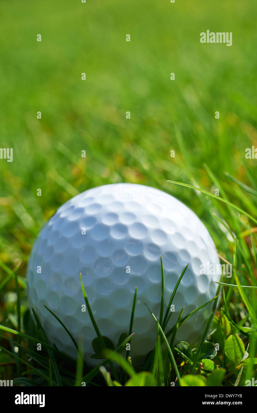 Close-up of golf ball se reposant dans l'herbe et de l'espace pour copier Banque D'Images