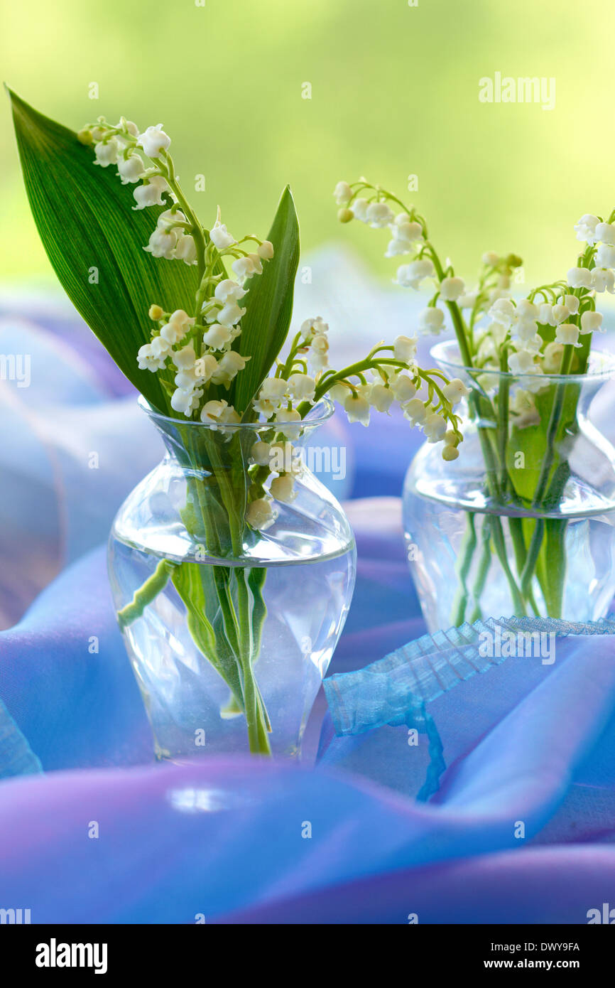 Lilly de la vallée dans des vases Banque D'Images