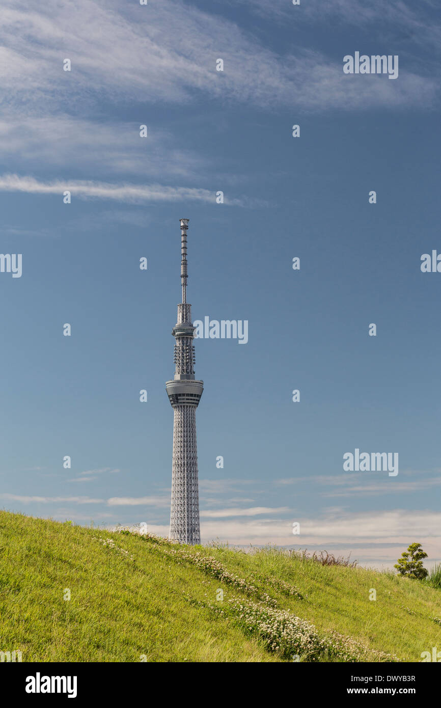 Tokyo Sky Tree, Tokyo, Japon Banque D'Images