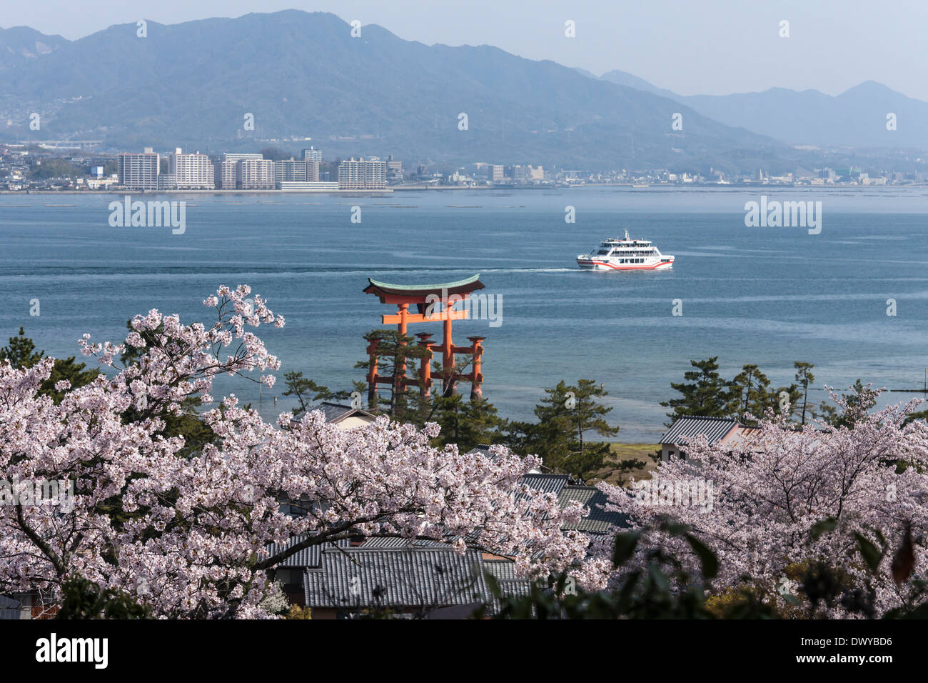 Torii du sanctuaire d'Itsukushima et fleurs de cerisier, Hatsukaichi, Préfecture de Hiroshima, Japon Banque D'Images
