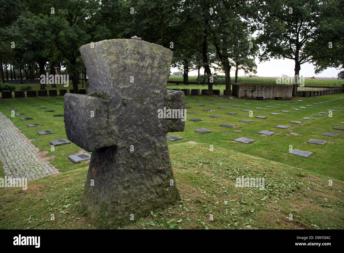 Mark Lange, Belgique, Graeberfeld au cimetière militaire allemand Lange Mark Banque D'Images