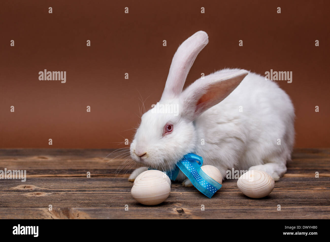 Lapin à l'arc sur planche de bois Banque D'Images