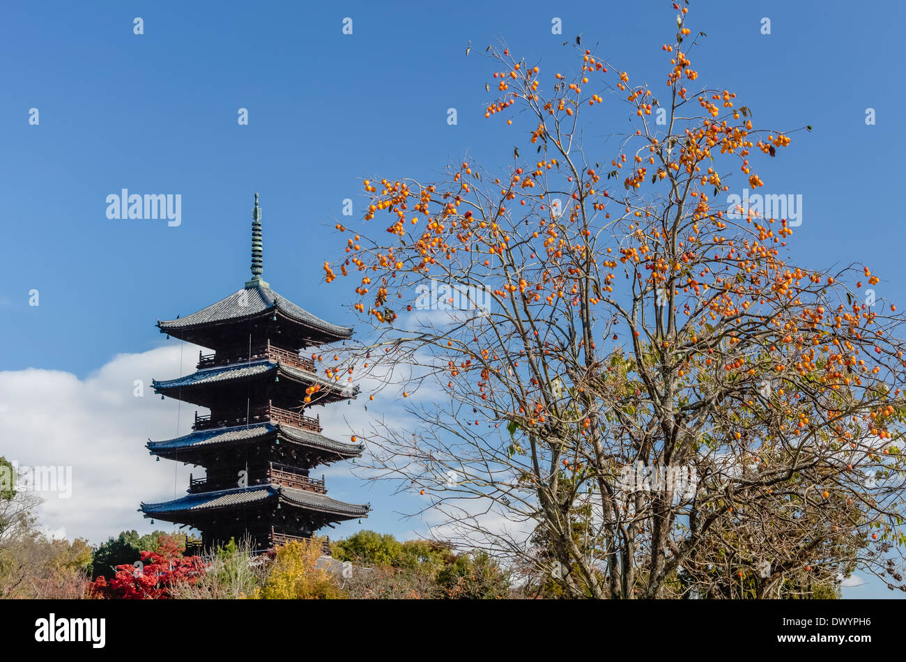 Five-Story Pagoda de Bitchu Kokubunji Temple, Soja, préfecture d'Okayama, Japon Banque D'Images