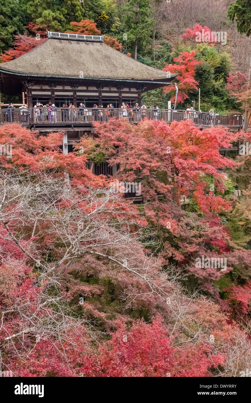 Voir l'automne de Temple Kiyomizu-dera Banque D'Images