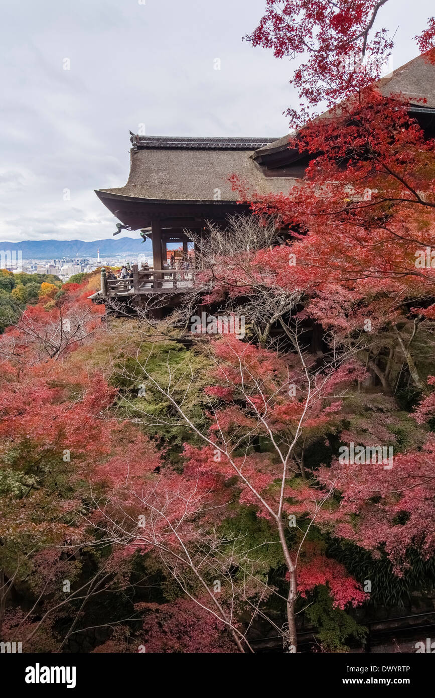 Voir l'automne de Temple Kiyomizu-dera Banque D'Images