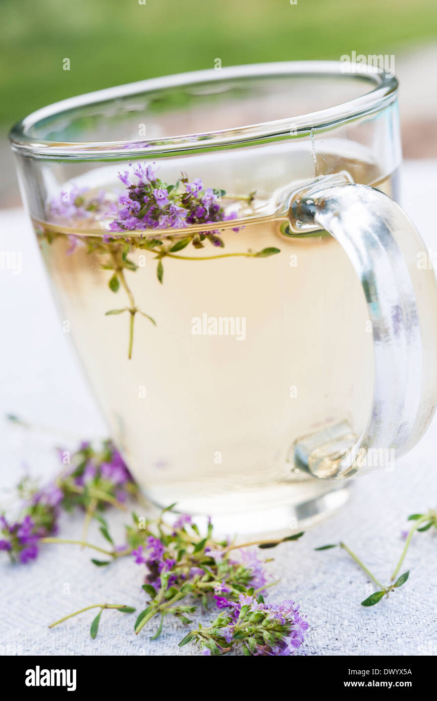 Tasse de thé thym fines herbes avec des fleurs aux herbes Banque D'Images