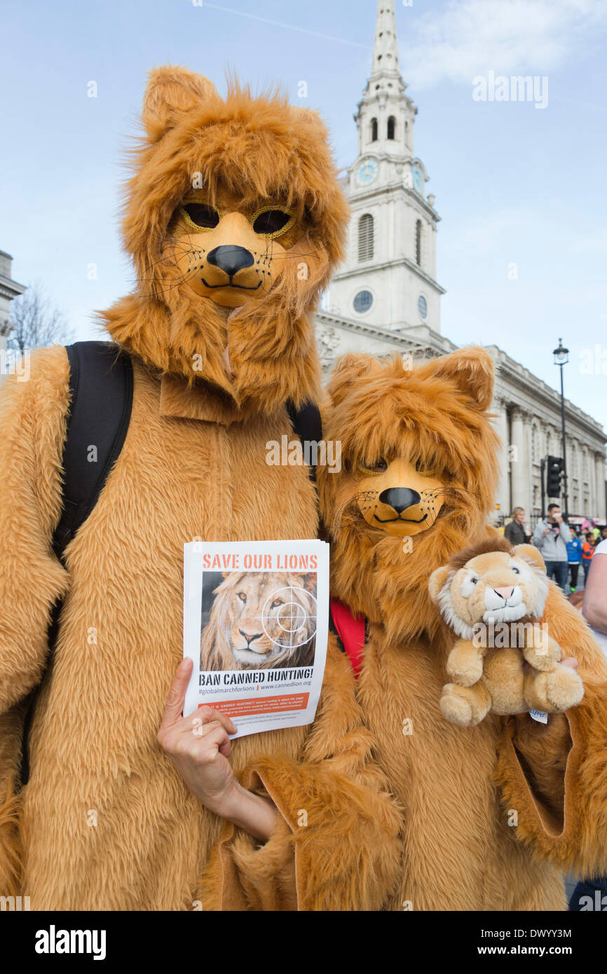 Londres, Royaume-Uni. 15 mars 2014. Marche Mondiale pour les Lions à Trafalgar Square, Londres. Les manifestants ont appelé à une interdiction de la chasse en conserve ''Save' et à nos lions'. La chasse en conserve ne donne pas à l'animal une chance de s'échapper. Credit : Nick Savage/Alamy Live News Banque D'Images