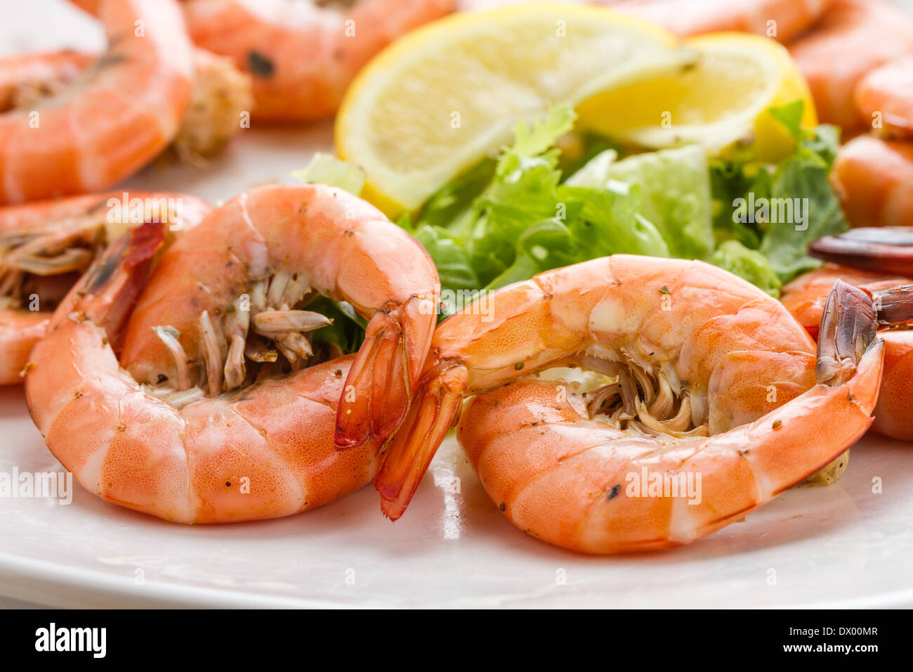 Assiette de crevettes roses fraîches Banque D'Images