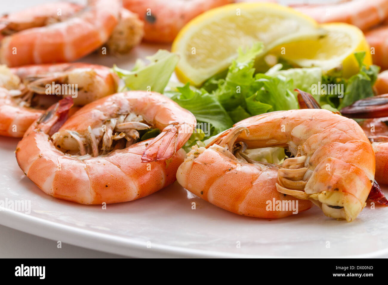 Assiette de crevettes roses fraîches Banque D'Images