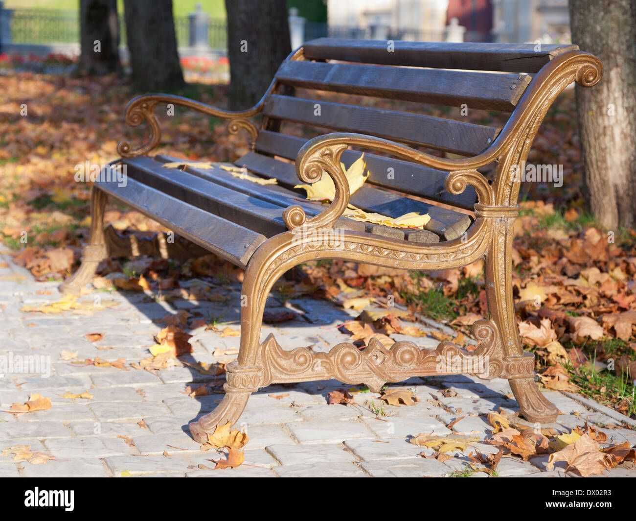 Banc de parc en automne Banque D'Images