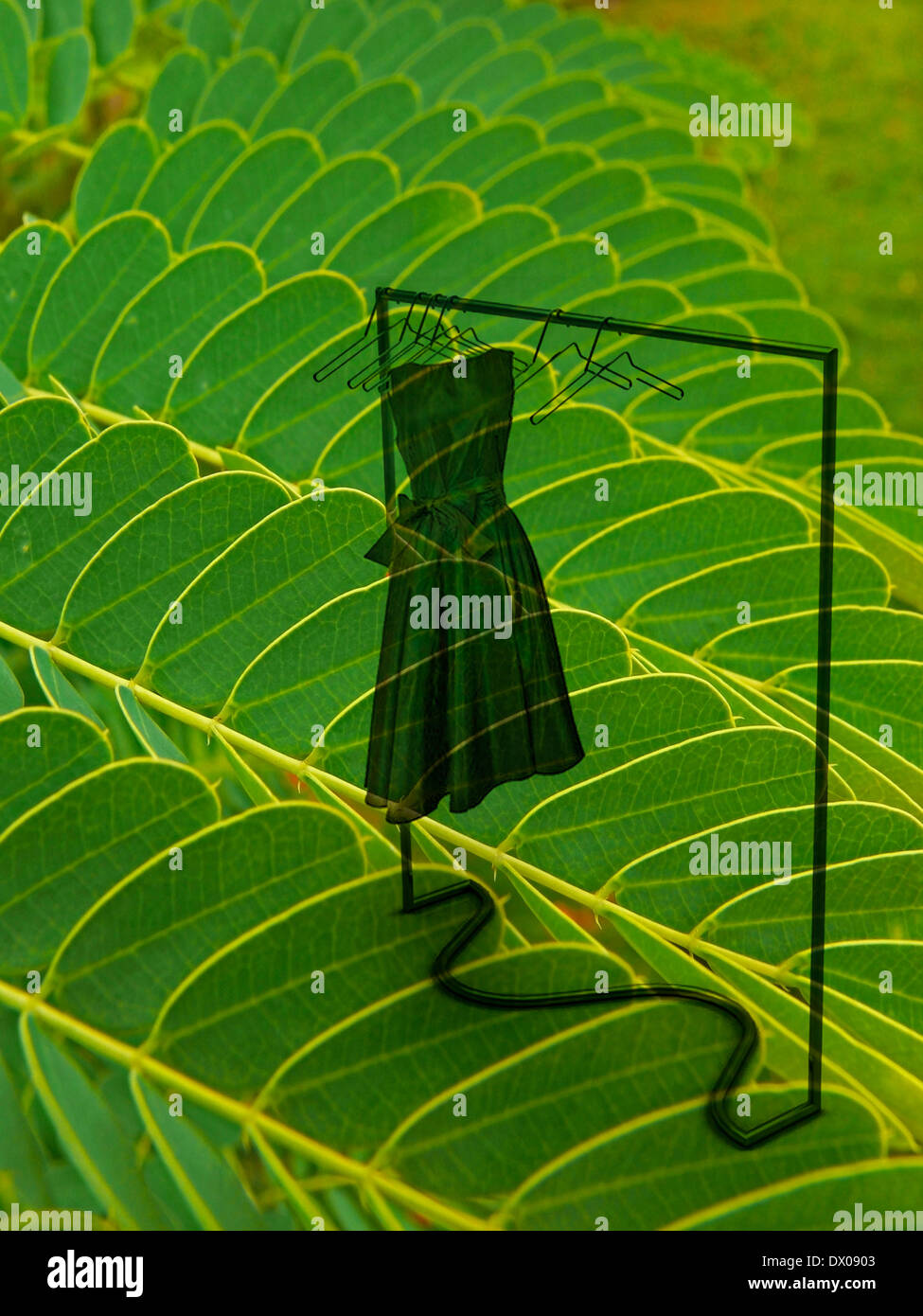 La texture, le design de mode, Concept Banque D'Images