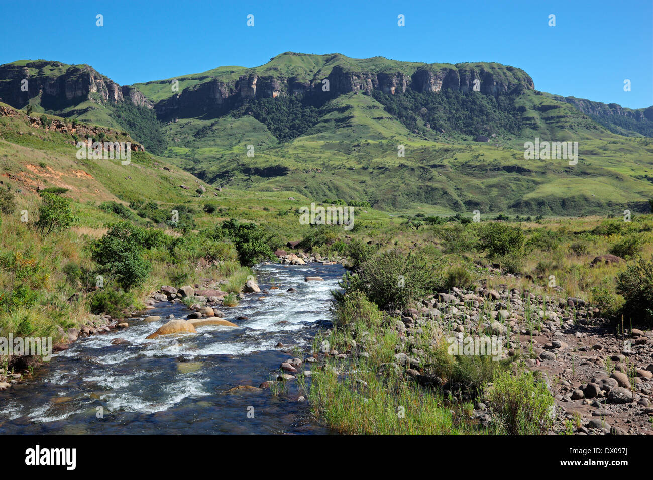 Rivière dans les contreforts des montagnes du Drakensberg, le KwaZulu-Natal, Afrique du Sud Banque D'Images