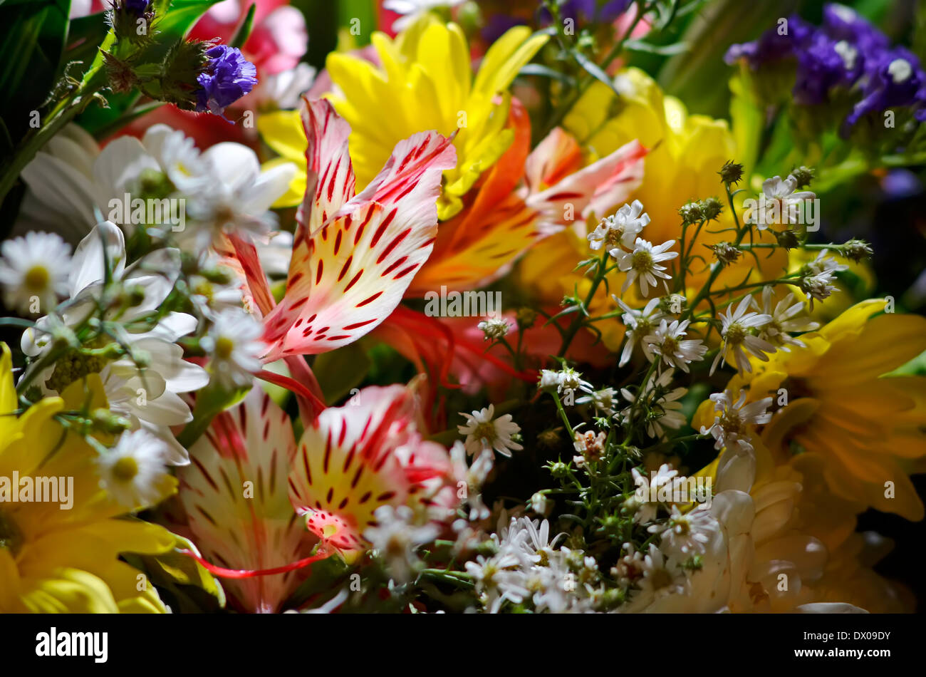 Close-up de mariage bouquet composé de diverses fleurs Banque D'Images