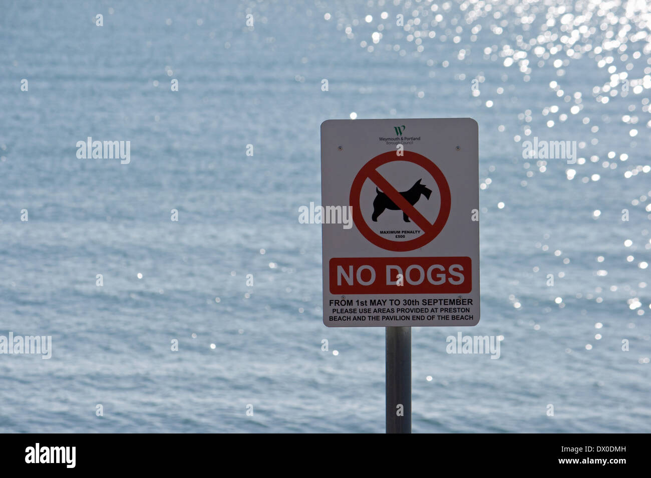"Pas de chiens' signe par la mer à Weymouth, Dorset. Banque D'Images