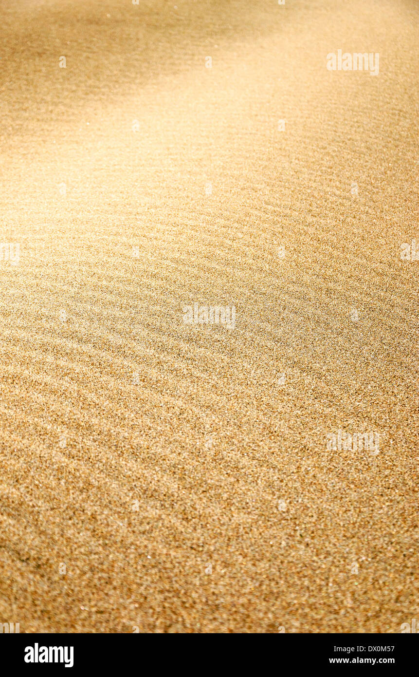 La texture du sable sur une plage de l'Oregon Banque D'Images