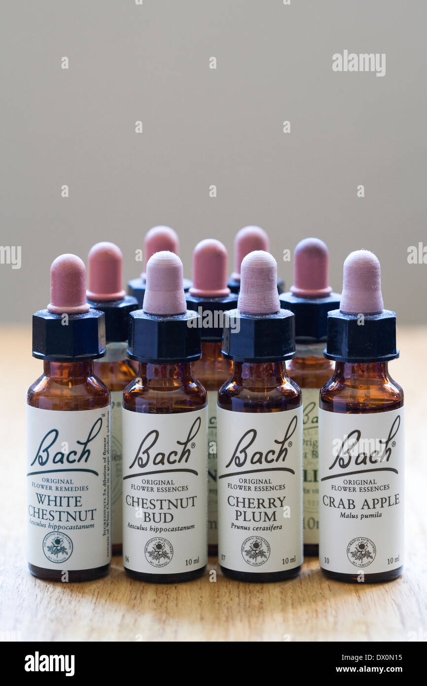 Remède de fleurs de Bach Essences. Banque D'Images