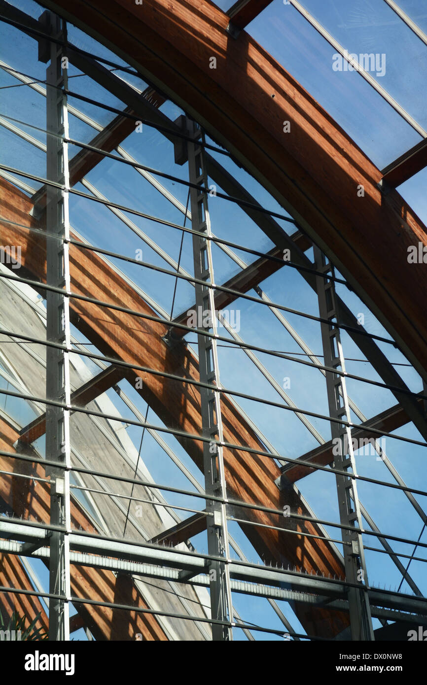 Jardin d'hiver - l'architecture de la ville de Sheffield, Angleterre, RU Banque D'Images