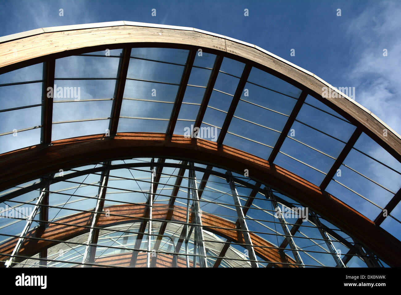 Jardin d'hiver - l'architecture de la ville de Sheffield, Angleterre, RU Banque D'Images