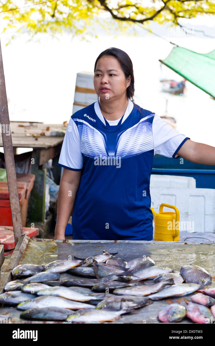 Vendeur de poisson à Rawai Beach, Phuket, Thaïlande Banque D'Images