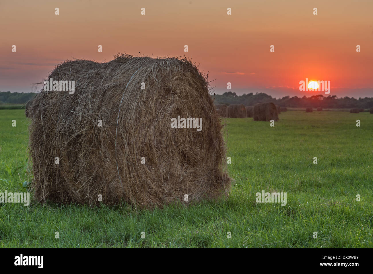 Sur le terrain de balle de paille l'heure du coucher de soleil. Banque D'Images