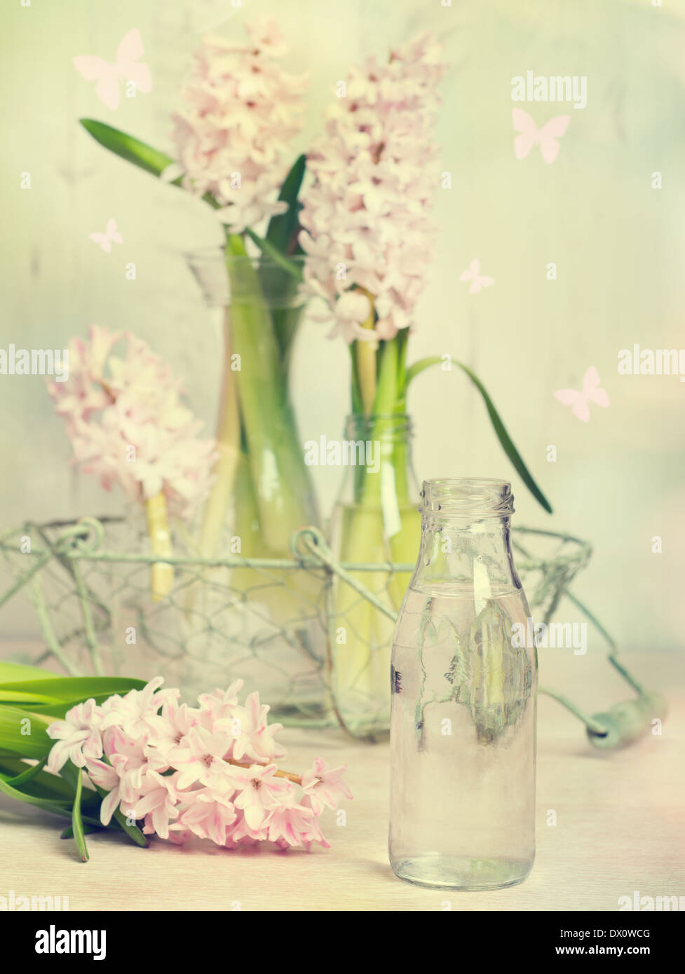 Les jacinthes au printemps avec un accent sur le flacon en verre rempli d'eau prêt à prendre les fleurs - Vintage effet ajouté Banque D'Images