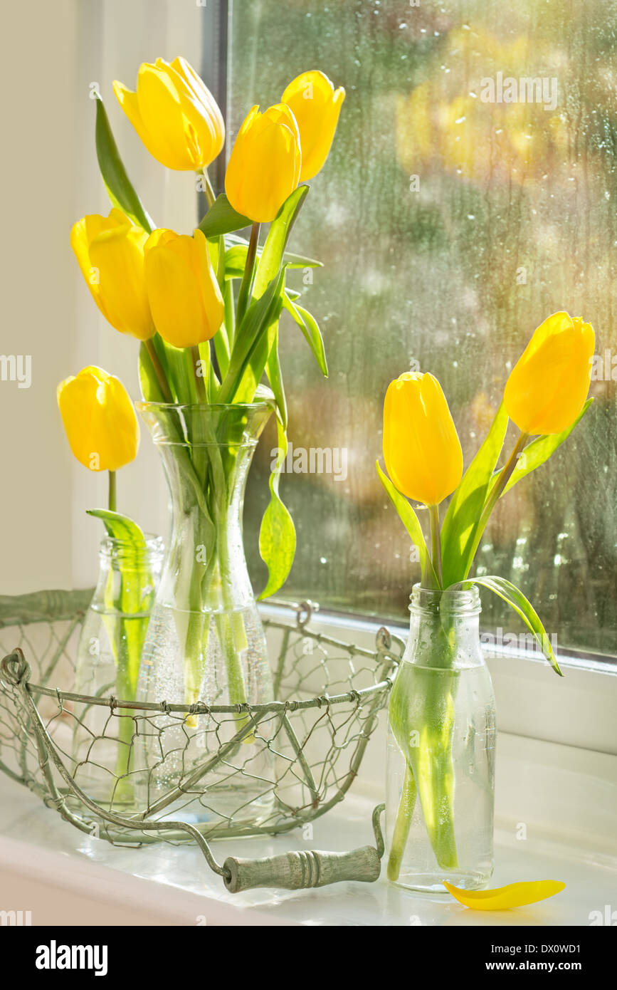 Tulipes au printemps dans des bouteilles en verre assis sur le rebord de la maison de repos Banque D'Images