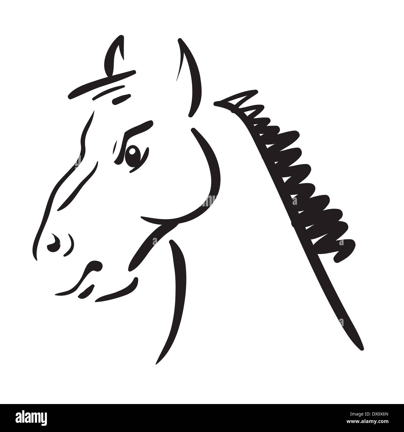 Illustration avec un cheval sur fond blanc pour votre conception Banque D'Images